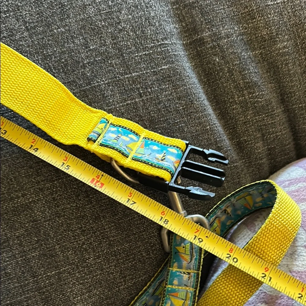 Sailboat Dog Collar & 4ft Leash